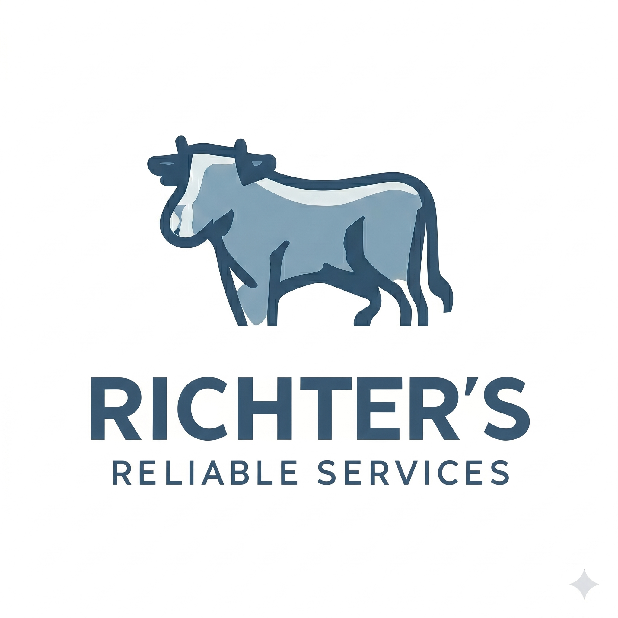Richter's Reliable Services